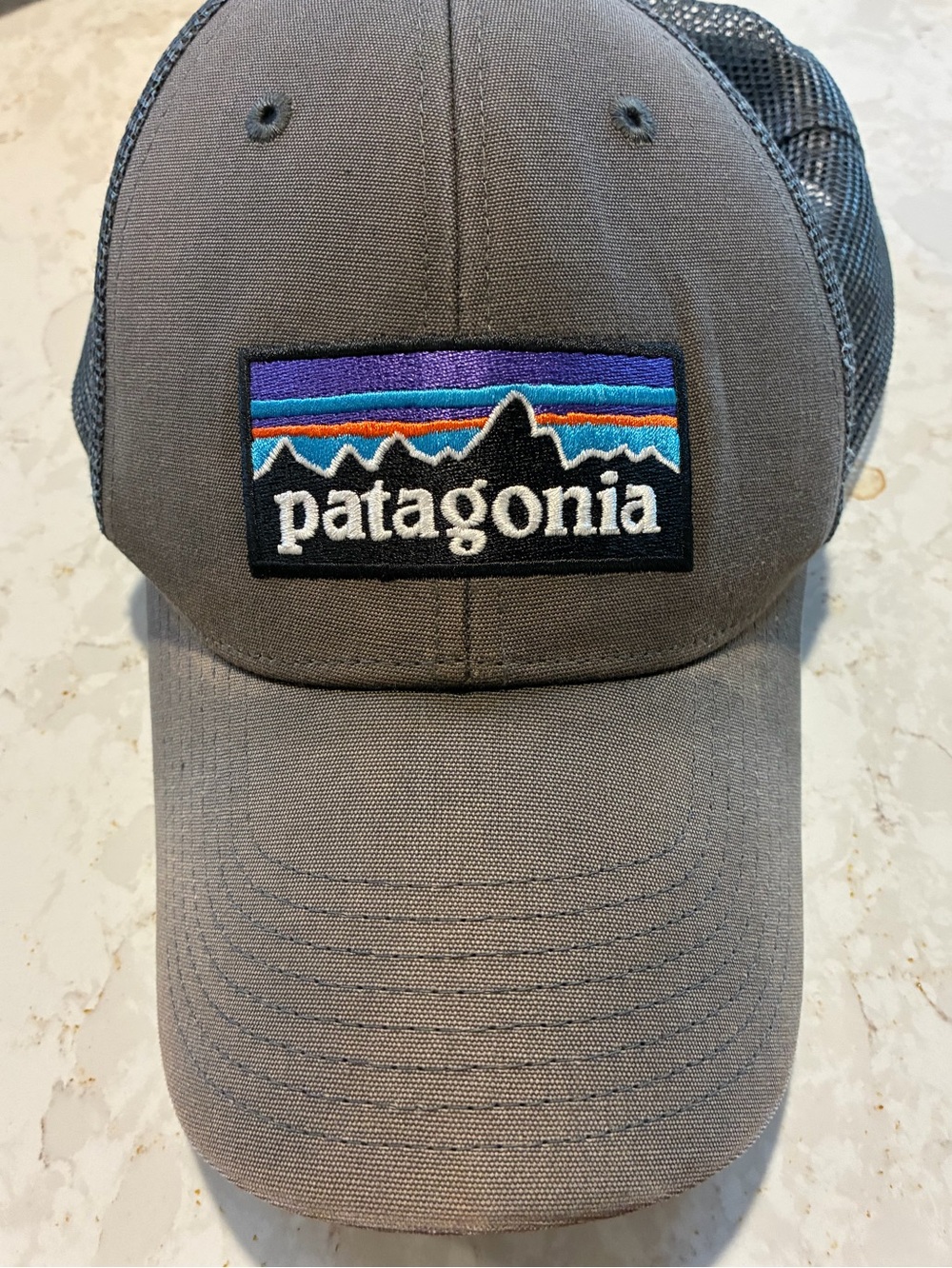 Patagonia Gray Mesh Trucker Cap with Subtle Multicolor Logo